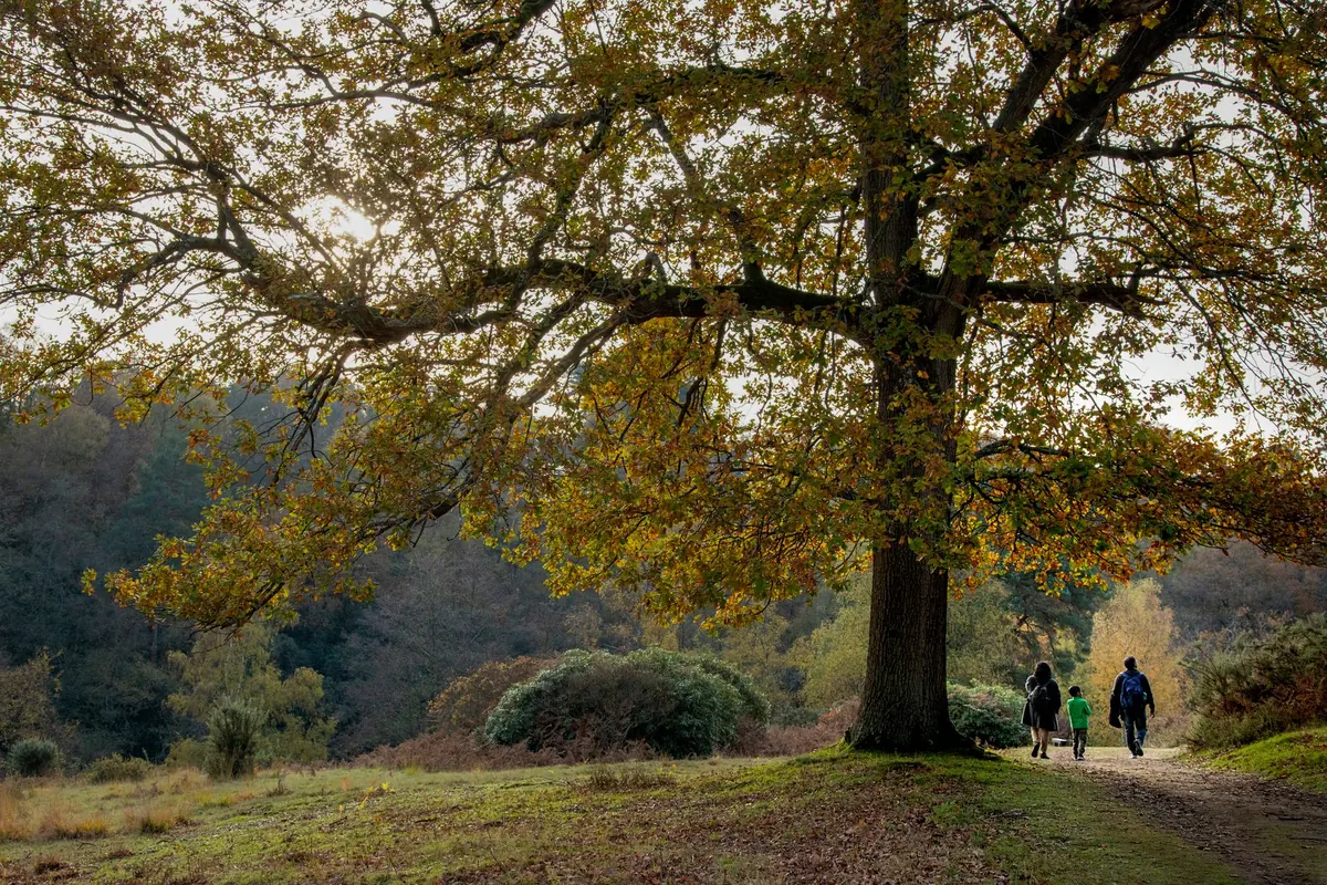 5 Cotswold Walks Under 5 Miles for Families with Young Children